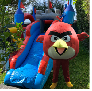 FESTA ANGRY BIRDS