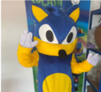 FESTA SONIC