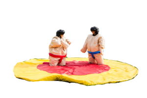 LUTADORES DE SUMO